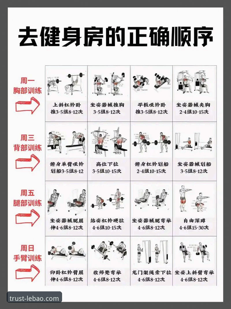 乐宝体育平台健身装备选购与使用完整指南