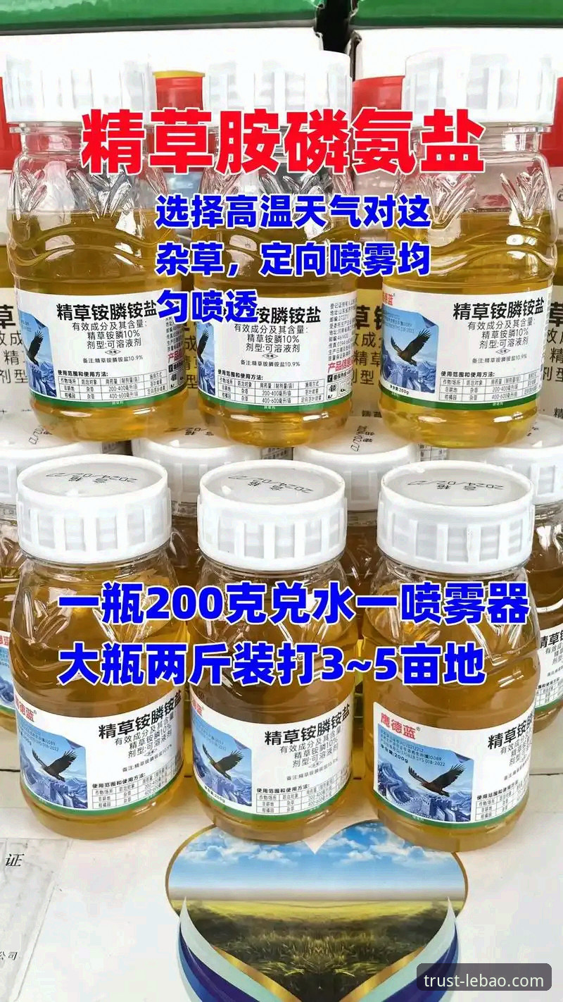 3个关键维度深度评测：乐宝官方旗舰店iOS版v2.1.0到底值不值得下？